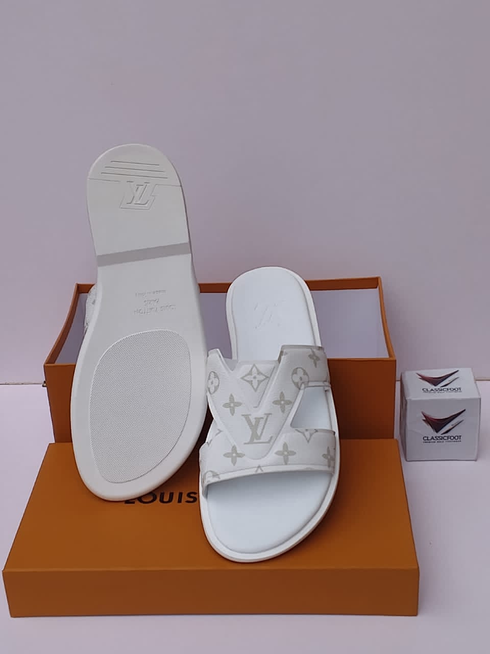 LOUIS VUITTON SLIPPERS COVER